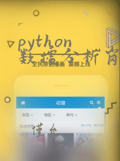 python 数据分析岗位