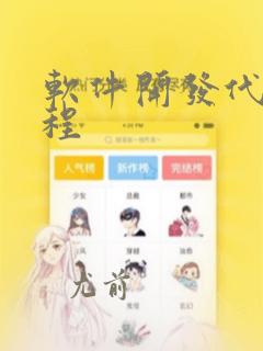 软件开发代码编程
