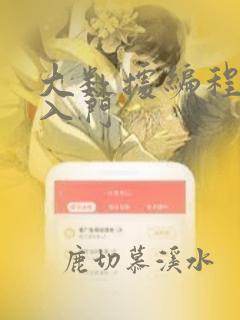 大数据编程学习入门