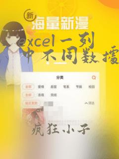 excel一列中不同数据统计
