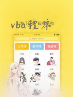 vba程序