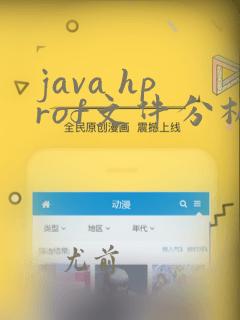 java hprof文件分析
