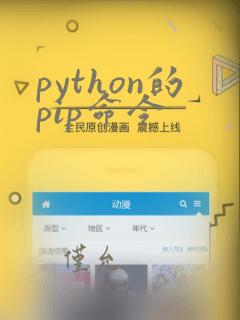 python的pip命令