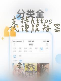 支持https代理服务器