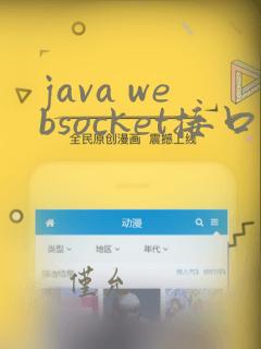 java websocket接口开发