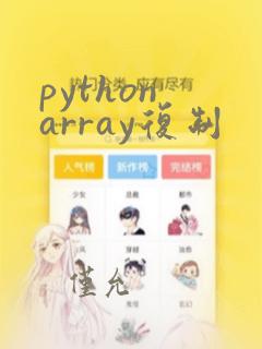 python array复制