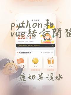 python和vue结合开发前端