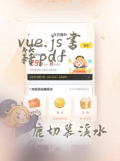 vue.js书籍pdf