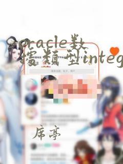 oracle数据类型integer