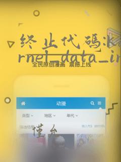 终止代码:kernel_data_inpage_error