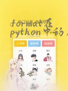 format在python中的用法保留小数