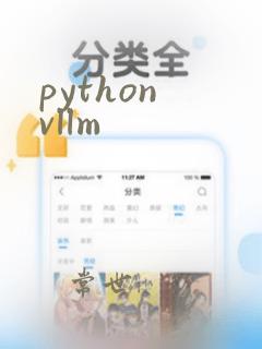 python vllm