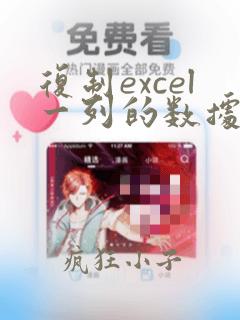 复制excel一列的数据