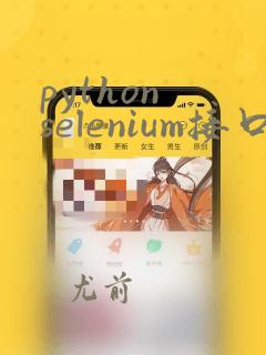 python selenium接口测试