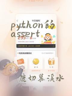 python的assert