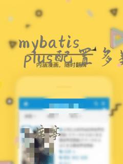 mybatis plus配置多数据源