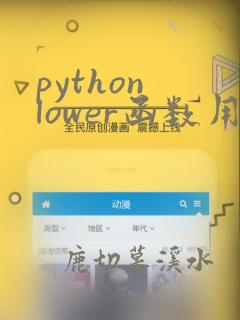python lower函数用法