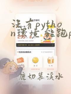 没有python环境 能跑python程序吗