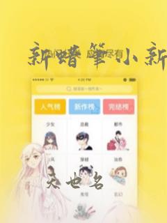 新蜡笔小新
