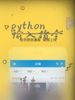 python 输入指令