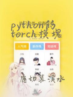 python的torch模块