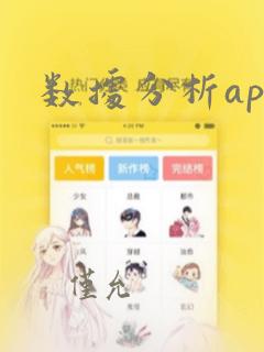 数据分析api