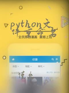 python文件重命名
