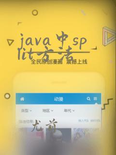 java中split方法