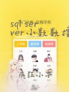 sql server小数数据类型