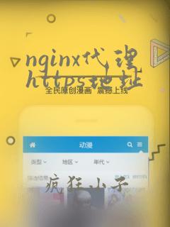 nginx代理https地址