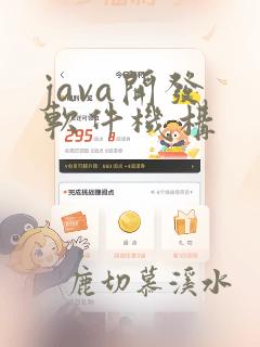 java开发 软件机构