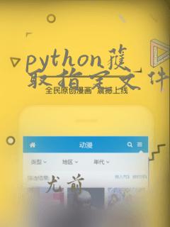 python获取指定文件夹下所有文件