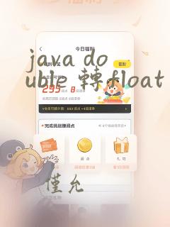 java double 转float