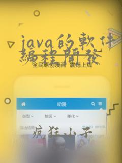 java的软件编程开发