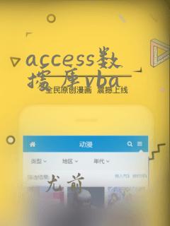 access数据库vba