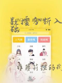 数据分析入门基础