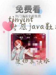 tinyint对应java数据类型