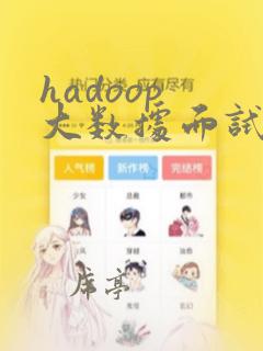 hadoop 大数据面试题