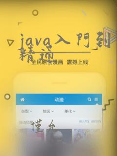 java入门到精通