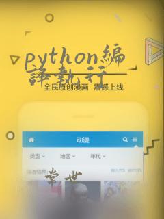 python编译执行