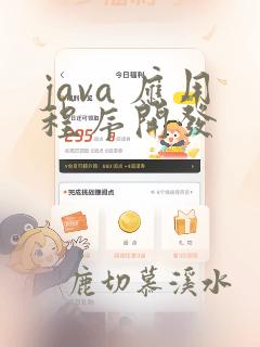 java 应用程序开发