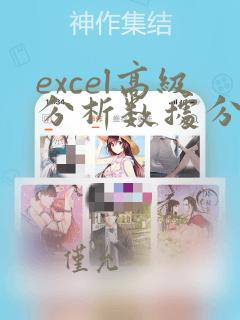 excel高级分析数据分析