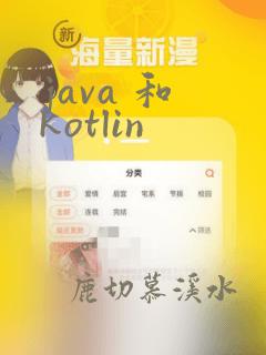 java 和 kotlin