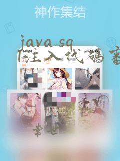 java sql注入代码审计