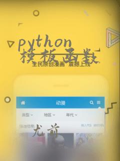 python 模板函数