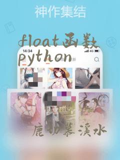 float函数python