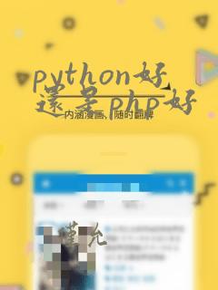 python好还是php好