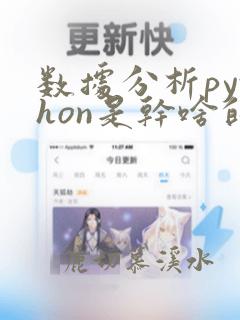 数据分析python是干啥的