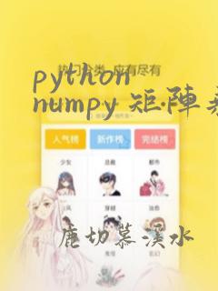 python numpy 矩阵乘法