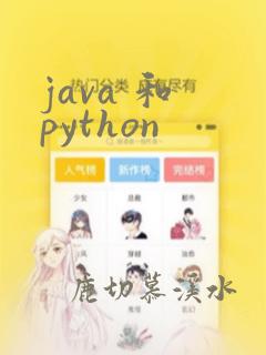 java 和 python
